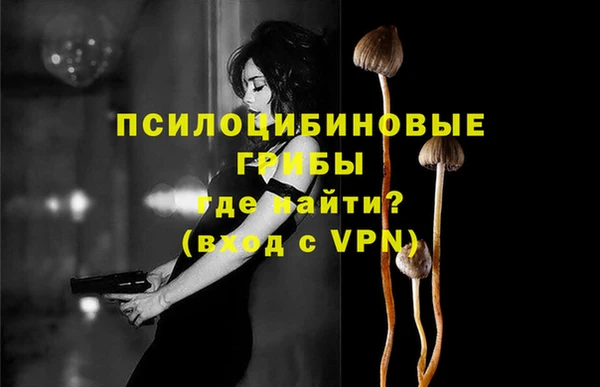ГАЛЛЮЦИНОГЕННЫЕ ГРИБЫ Волоколамск