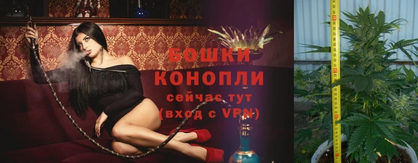 крисы Володарск