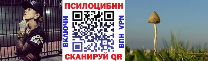 Галлюциногенные грибы Psilocybine cubensis  Купить где  Кудымкар 